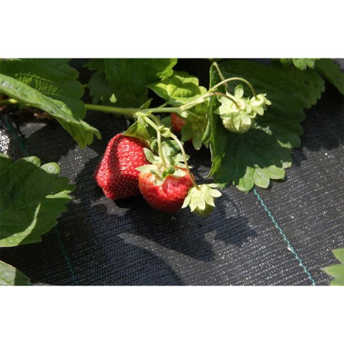 AGROTEXTIL 100 g/mp - pachete hobby...