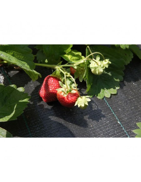 AGROTEXTIL 100 g/mp - pachete hobby 1x5 m - folie de mulcire tesuta