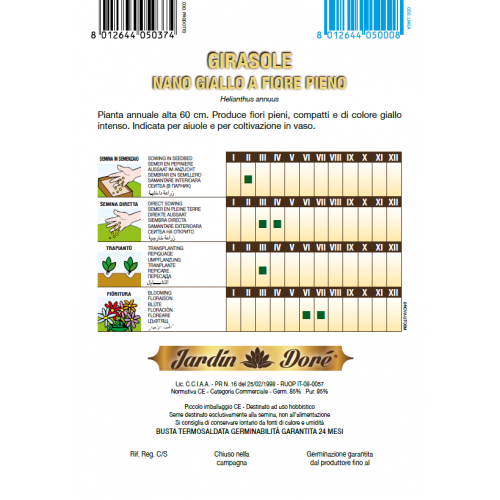 Floarea Soarelui pitica, flori...