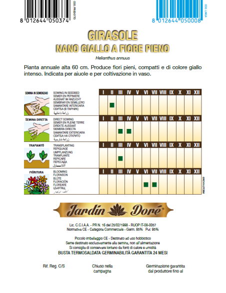 Floarea Soarelui pitica, flori batute, 4 grame- Seminte flori