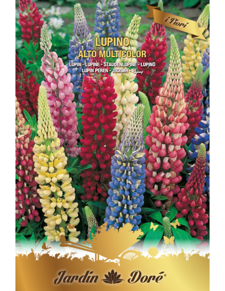 Lupin - amestec multicolor, 2 grame - Seminte flori