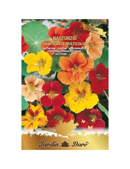 Condurul Doamnei - amestec multicolor, 5 grame - Seminte flori -