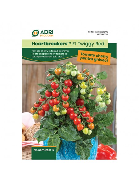 Hibrid Tomate Cherry cultura la ghiveci, fruct rosu - Heartbreakers F1