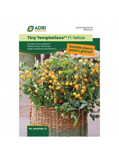 Hibrid Tomate Cherry cultura la ghiveci, fructe galbene - Tiny Temptation F1