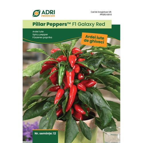 Hibrid Ardei iute cultura la ghiveci...