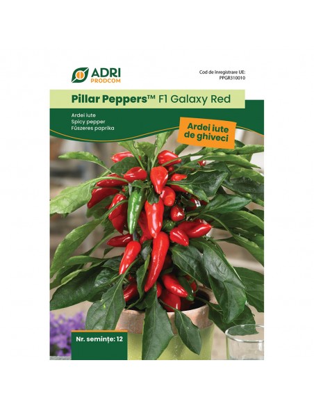 Hibrid Ardei iute cultura la ghiveci - Pillar Peppers F1 Galaxy