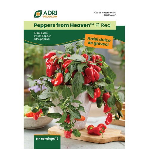 Hibrid Ardei dulce cultura la ghiveci...