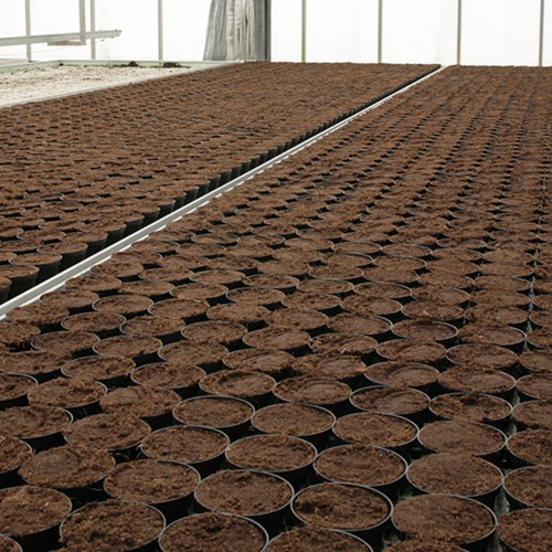 TURBA pentru semanat KEKKILA DSM 3 W...