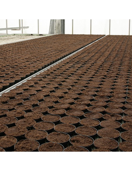 TURBA pentru semanat KEKKILA DSM 3 W - 100 litri