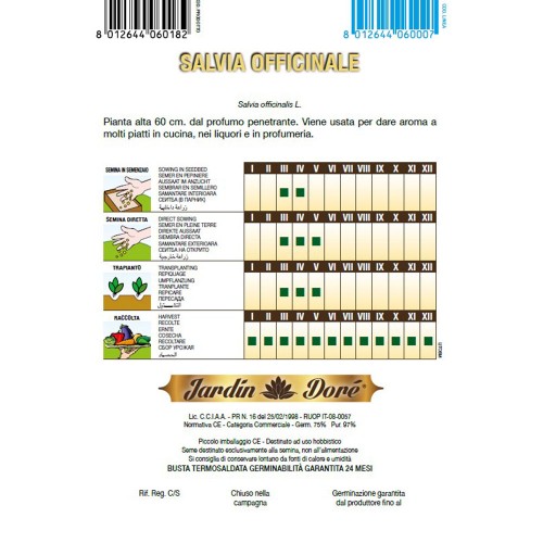 SALVIE - seminte plante aromatice