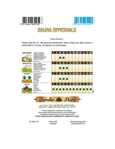 SALVIE - seminte plante aromatice