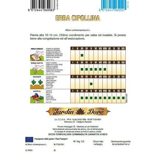 CEAPA DE TUNS (Chives) - seminte...