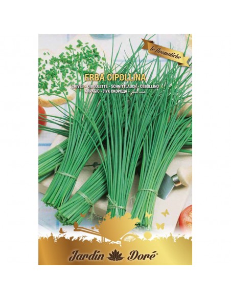 CEAPA DE TUNS (Chives) - seminte plante aromatice