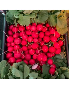 FLORELLA F1, 10000 sem. -...