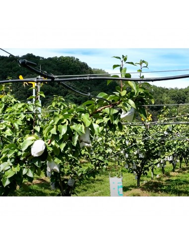 FURTUN de picurare tip TUB, 36 mil -...