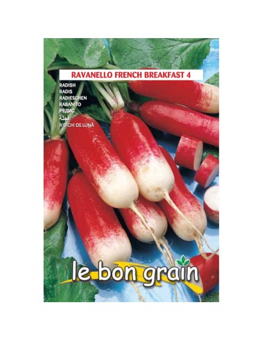 FRENCH BREAKFAST - seminte Ridichi...