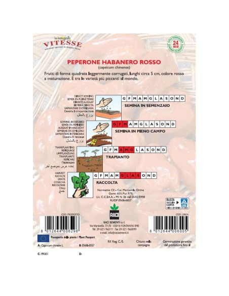 HABANERO - seminte Ardei iute rosu, 0,6 grame
