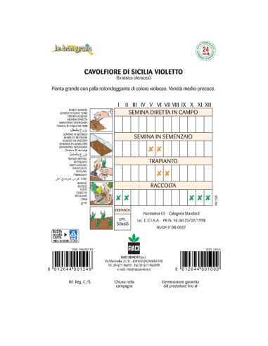 SICILIA VIOLETTO - seminte Conopida...