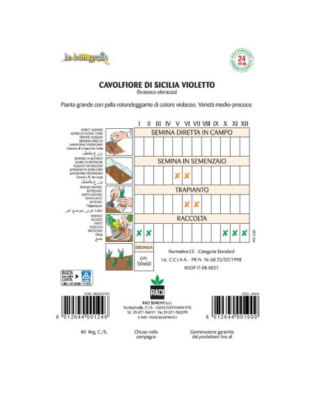 SICILIA VIOLETTO - seminte Conopida violet, 3 grame