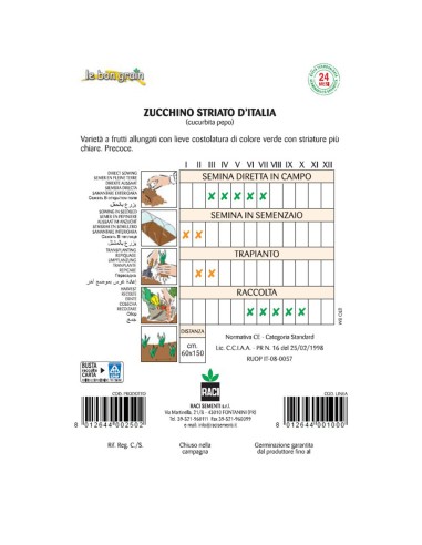 STRIATO DI NAPOLI - seminte Dovlecel...