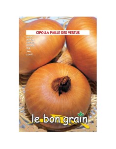 VERTUS - seminte Ceapa...