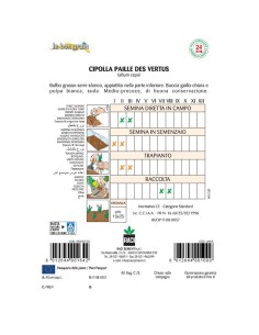 VERTUS - seminte Ceapa... 2