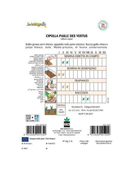 VERTUS - seminte Ceapa aurie turtita, 3,5 grame