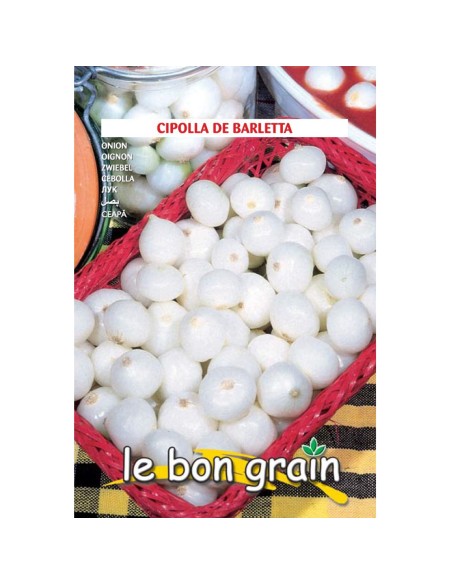 BARLETTA - seminte Ceapa alba mititica, pentru murat, 3,5 grame