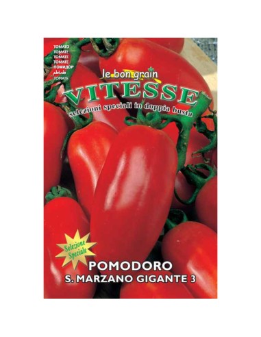 SAN MARZANO GIGANTE 3 - seminte...