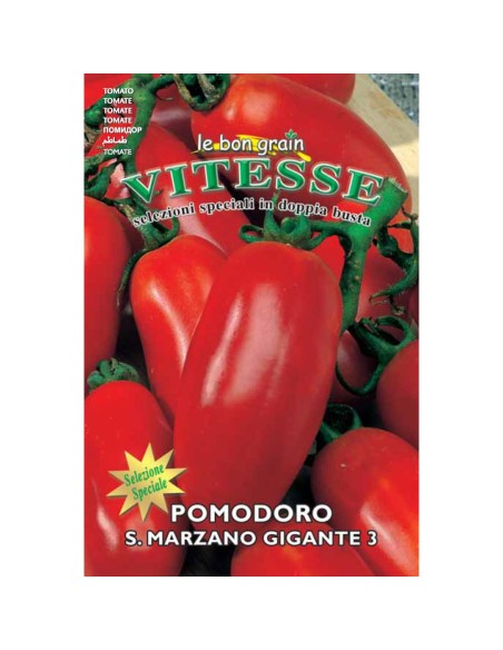 SAN MARZANO GIGANTE 3 - seminte Tomate, 2 grame