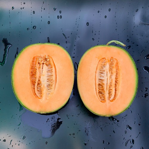 GARFIELD F1, 100 sem. - seminte...