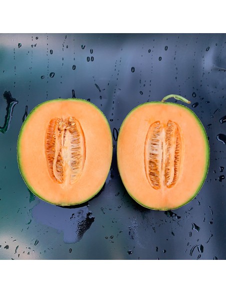 GARFIELD F1, 100 sem. - seminte Pepene galben