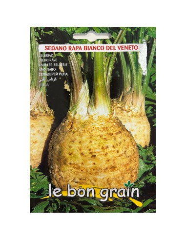 BIANCO DEL VENETO (fosta Giant...