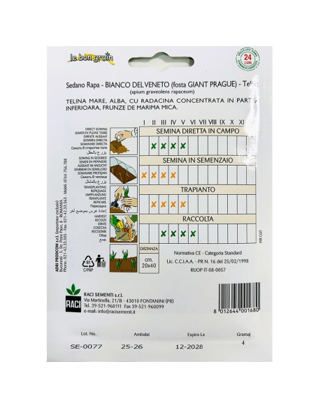 BIANCO DEL VENETO (fosta Giant Prague) - seminte Telina