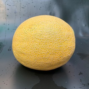 GARFIELD F1, 500 sem. -... 2