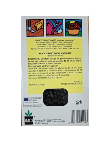 ROCQUENCOURT - seminte Fasole galbena...