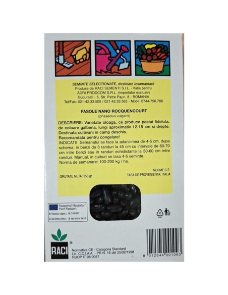 ROCQUENCOURT - seminte Fasole galbena fideluta