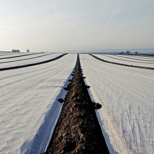 NOVAGRYL P19 - material... 2