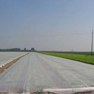 NOVAGRYL P19 - material...