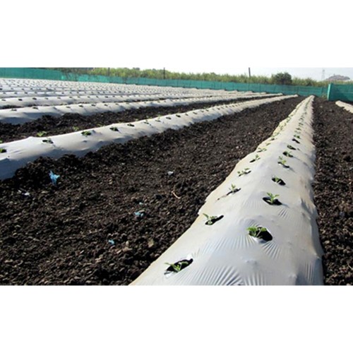 Folie mulcire alb-negru, 35 microni,...