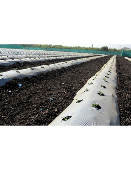 Folie mulcire alb-negru, 35 microni, perforata - GINEGAR