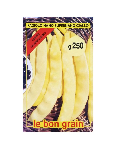 SUPERNANO GIALLO - seminte Fasole galbena lata