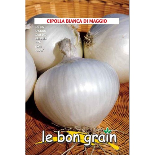BIANCA DI MAGGIO - seminte Ceapa alba