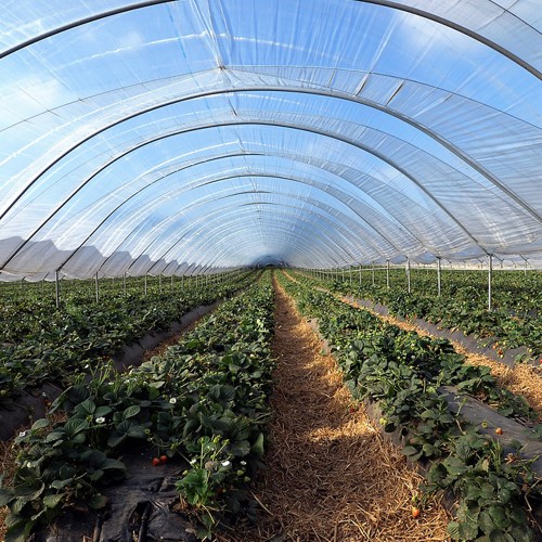 Folie de acoperire solar, SUNCOVER...