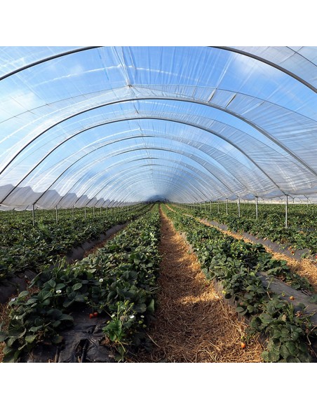 Folie de acoperire solar, SUNCOVER CLEAR – GINEGAR, 22,50 lei/kg