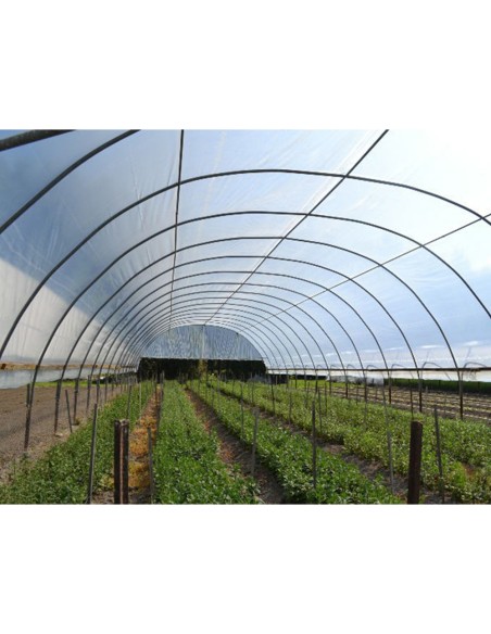 Folie de acoperire solar, SUNCOVER CLEAR – GINEGAR, 22,50 lei/kg