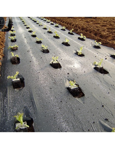 Folie mulcire neagra, 15 microni, neperforata - GINEGAR, 20,50 lei/kg