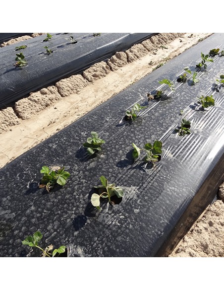 Folie mulcire neagra, 20 microni, neperforata - GINEGAR, 20,50 lei/kg