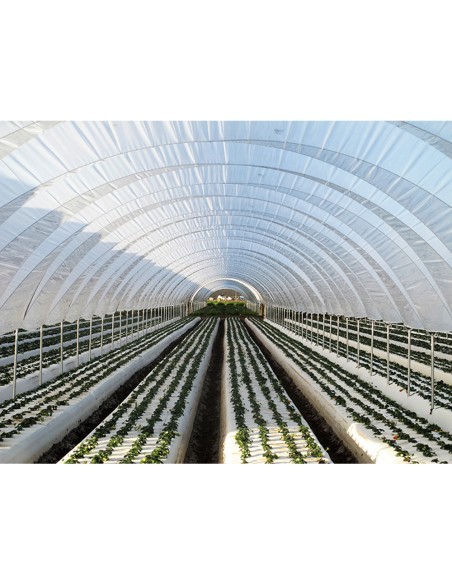 Folie de acoperire solar, cu proprietati termice, SUNTHERM DIFUSSED 303 Plus – GINEGAR, 23,10 lei/kg