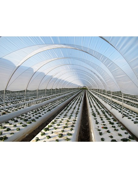 Folie de acoperire solar, cu proprietati termice, SUNTHERM DIFUSSED 303 Plus – GINEGAR, 23,10 lei/kg